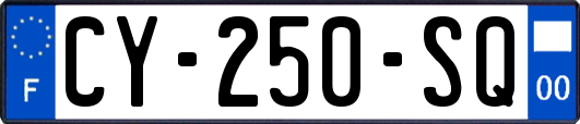 CY-250-SQ