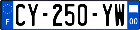 CY-250-YW