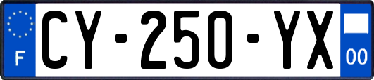 CY-250-YX