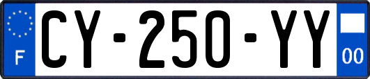 CY-250-YY