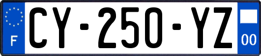 CY-250-YZ