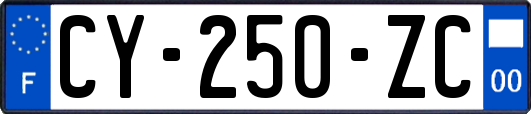 CY-250-ZC