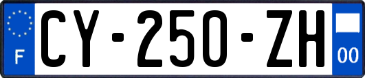 CY-250-ZH