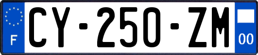CY-250-ZM