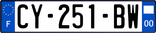 CY-251-BW