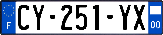 CY-251-YX