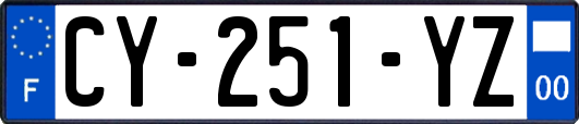 CY-251-YZ