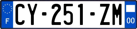 CY-251-ZM