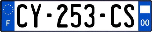 CY-253-CS