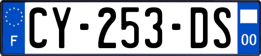 CY-253-DS