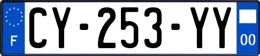 CY-253-YY