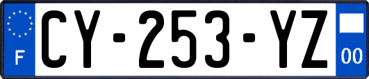 CY-253-YZ