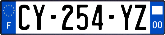 CY-254-YZ