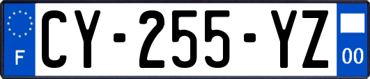 CY-255-YZ