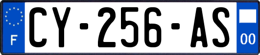 CY-256-AS