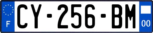 CY-256-BM