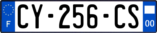 CY-256-CS