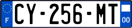 CY-256-MT