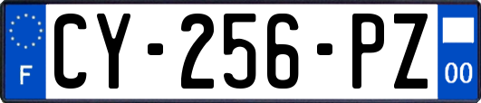 CY-256-PZ