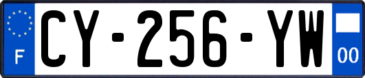 CY-256-YW