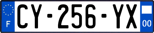 CY-256-YX
