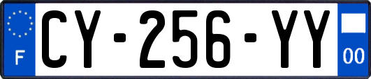 CY-256-YY