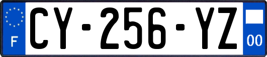 CY-256-YZ