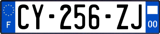 CY-256-ZJ