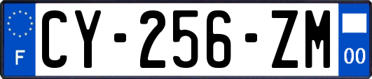 CY-256-ZM