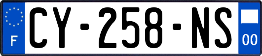 CY-258-NS