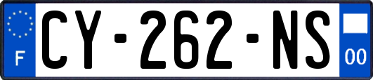 CY-262-NS