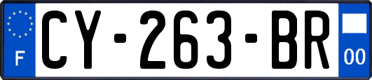 CY-263-BR