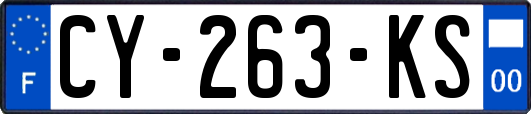 CY-263-KS