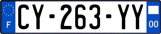 CY-263-YY