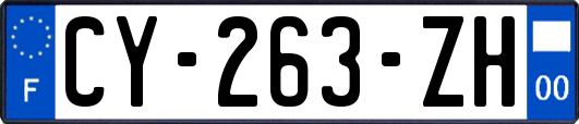 CY-263-ZH