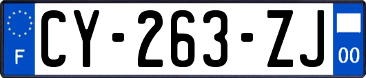 CY-263-ZJ