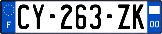 CY-263-ZK