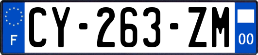 CY-263-ZM