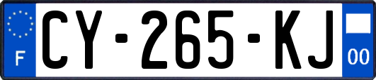 CY-265-KJ