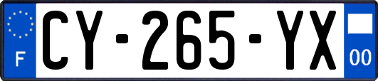 CY-265-YX