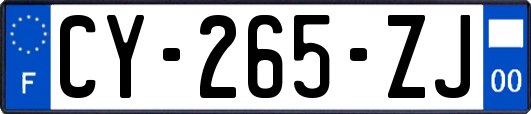 CY-265-ZJ