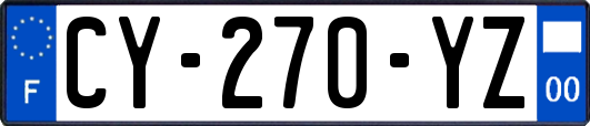 CY-270-YZ