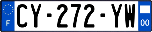 CY-272-YW