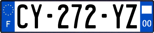 CY-272-YZ