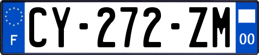 CY-272-ZM