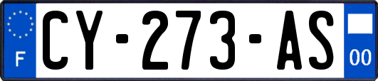 CY-273-AS