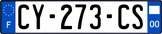 CY-273-CS