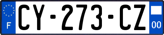 CY-273-CZ