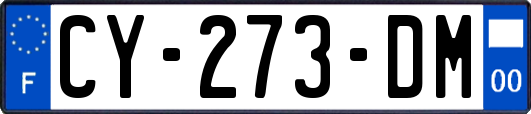 CY-273-DM