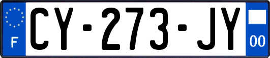 CY-273-JY